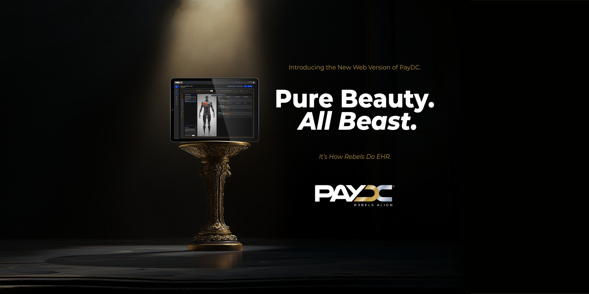 Paydc Sign In It’s How Rebels Do Chiropractic EHR Software | PayDC